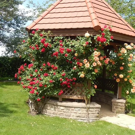 Palazzo Wellness Guest house Eger